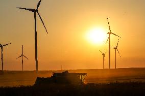 Wind Power Develops In Poland As Global Energy Independence Day Approaches