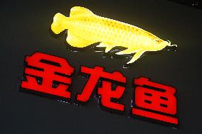 Arowana