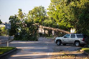 Downed Power Lines And Trees In Houston After Hurricane Beryl