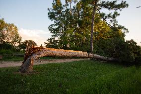 Downed Power Lines And Trees In Houston After Hurricane Beryl