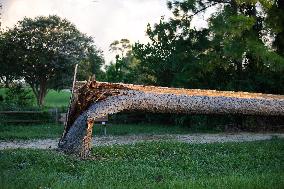 Downed Power Lines And Trees In Houston After Hurricane Beryl