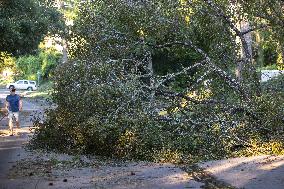 Downed Power Lines And Trees In Houston After Hurricane Beryl