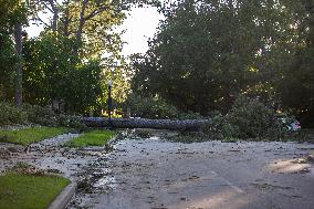 Downed Power Lines And Trees In Houston After Hurricane Beryl