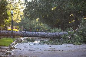 Downed Power Lines And Trees In Houston After Hurricane Beryl