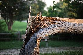 Downed Power Lines And Trees In Houston After Hurricane Beryl