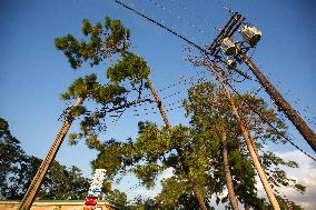 Downed Power Lines And Trees In Houston After Hurricane Beryl