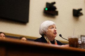 Janet Yellen Hearing - Washington