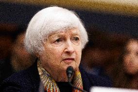 Janet Yellen Hearing - Washington