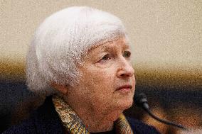 Janet Yellen Hearing - Washington