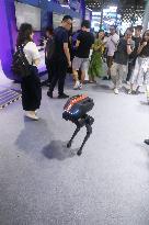 AI Robot at 2024 WAIC in Shanghai