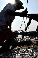 INDONESIA-JAKARTA-DAILY LIFE-FISHERMEN