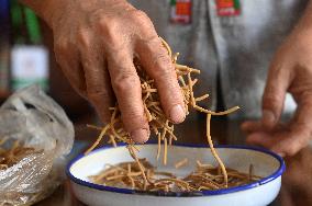 CHINA-GUANGXI-JINXIU-MOXIBUSTION THERAPY-INHERITOR (CN)