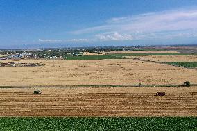 CHINA-XINJIANG-QITAI COUNTY-WHEAT-HARVEST (CN)