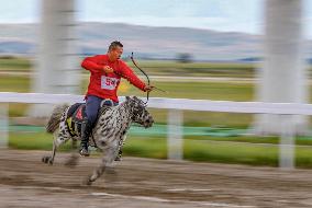 (SP)CHINA-XINJIANG-ZHAOSU-NATIONAL TRADITIONAL GAMES OF ETHNIC MINORITIES-EQUESTRIAN (CN)