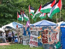 Montreal police descend on McGill to clear pro-Palestinian encampment