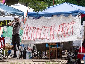 Montreal police descend on McGill to clear pro-Palestinian encampment