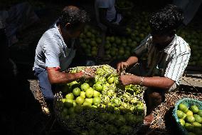 Wholesale Fruit Market In India