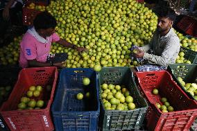 Wholesale Fruit Market In India