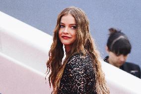 The Red Carpet For The Premiere Of The Apprentice During The 77th Cannes Film Festival