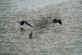 Flooding In Ohio