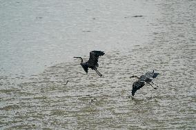 Flooding In Ohio