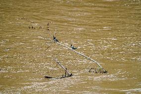 Flooding In Ohio