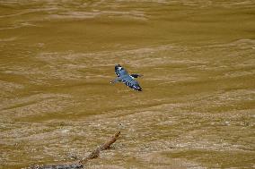 Flooding In Ohio