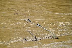 Flooding In Ohio