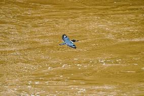 Flooding In Ohio