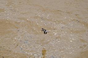 Flooding In Ohio