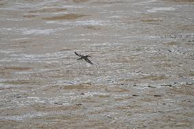 Flooding In Ohio