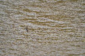 Flooding In Ohio