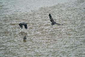 Flooding In Ohio