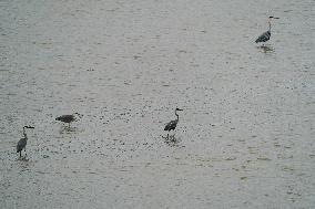 Flooding In Ohio