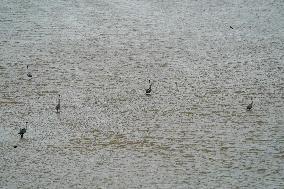 Flooding In Ohio