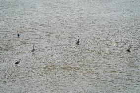 Flooding In Ohio