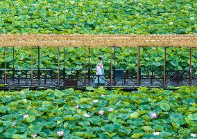 XINHUA PHOTOS OF THE DAY