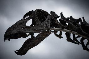 FRANCE-PARIS-DINOSAUR SKELETON-DISPLAY