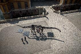 FRANCE-PARIS-DINOSAUR SKELETON-DISPLAY