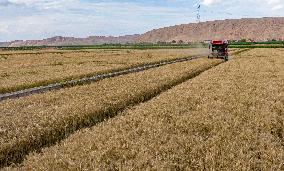 (VistaNingxia)CHINA-NINGXIA-TONGXIN COUNTY-WHEAT HARVEST (CN)