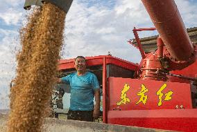 (VistaNingxia)CHINA-NINGXIA-TONGXIN COUNTY-WHEAT HARVEST (CN)