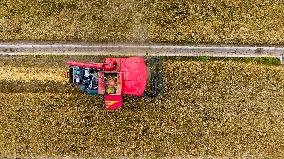 (VistaNingxia)CHINA-NINGXIA-TONGXIN COUNTY-WHEAT HARVEST (CN)