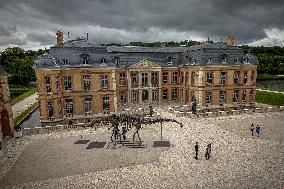 Dinosaur Skeleton On Display - Dampierre-en-Yvelines