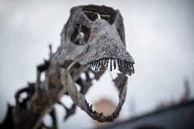 Dinosaur Skeleton On Display - Dampierre-en-Yvelines