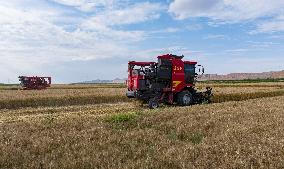 (VistaNingxia)CHINA-NINGXIA-TONGXIN COUNTY-WHEAT HARVEST (CN)