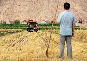 (VistaNingxia)CHINA-NINGXIA-TONGXIN COUNTY-WHEAT HARVEST (CN)