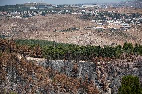 ISRAEL-LEBANON-BORDER-HEZBOLLAH-DESTROYED FOREST