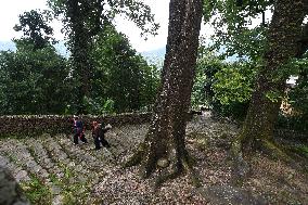 EnchantingGuangxi | Villagers still enchanted by yellow mud drums in S China's Guangxi