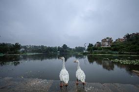 Monsoon Rain Batters Nepal