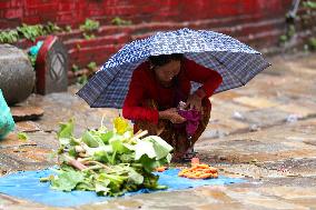 Monsoon Rain Batters Nepal